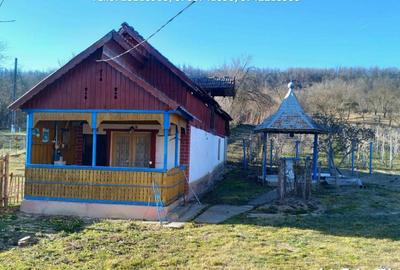 Casa situata in Stejari - Balosani Casa situata in Stejari - Balosani - 5