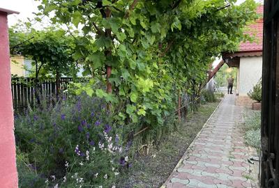 Casa Lacu Sarat Brailei Casa Lacu Sarat Brailei - 9