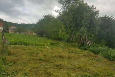 Casă cu 4 camere în Șimișna - 5