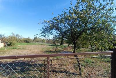 Casă cu 3 camere în Livezile - 1