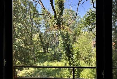 Casa cu teren generos refugiul perfect in Paltinoasa... - 3