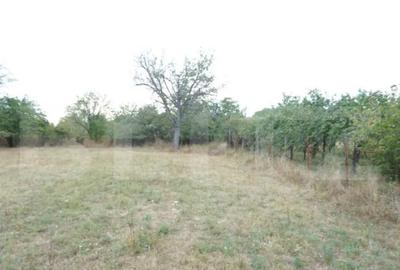 Teren de 1777 mp, în Buda (Ariceștii Rahtivani) - 2