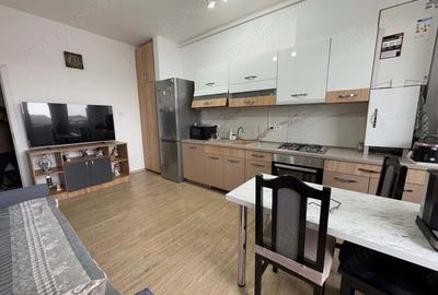 Apartament cu 2 camere, mobilat în Calea Urseni - 2