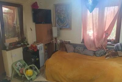 Casa pe malul lacului Paleu teren 510 mp - priveliste deosebita - 16