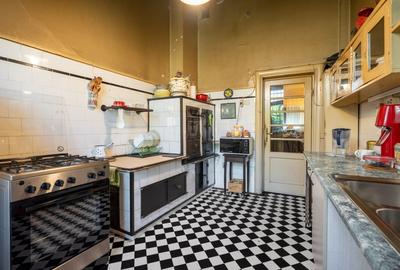 O vila cu prestanta, in Cismigiu - 14