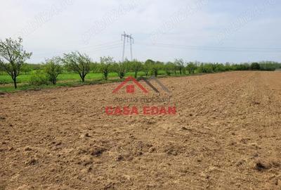 Teren extravilan in Banesti, 2400mp, 10e - 3