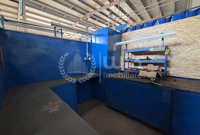 Spațiu industrial, de 335 mp, în Iris - 3