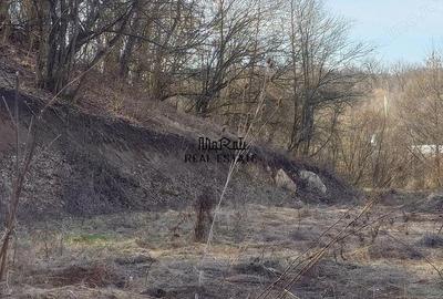 Teren de 3384 mp, în Sud - 8