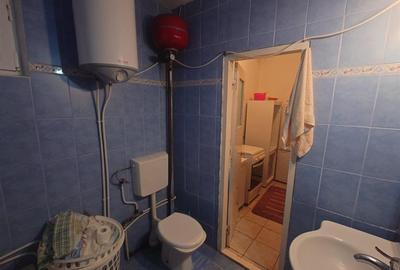 Casă cu 3 camere cu Teren 12861 Mp în Luncoiu de Jos - 6