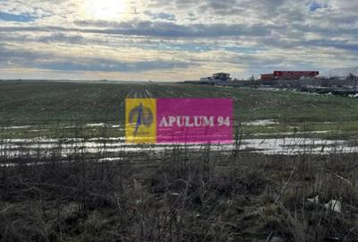 Teren de 4050 mp, în Sud - 4