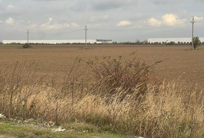 Teren de vanzare - 22800mp  - Parc Industrial km 23 - 9