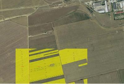 Teren Extravilan 28000 zona Schitul Sfanta Treime - Sere Constanta - 4