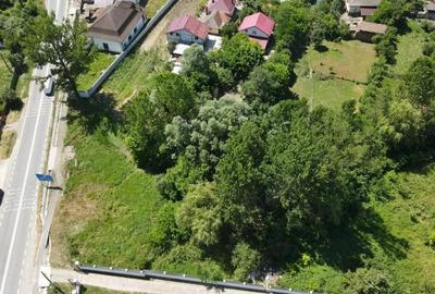 Teren cu poten?ial de dezvoltare 614 mp in com Mihae?ti, jud Valcea - 11