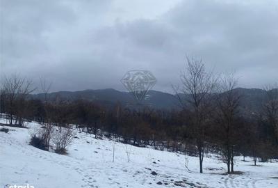 Spațiu comercial, în Șotrile - 7