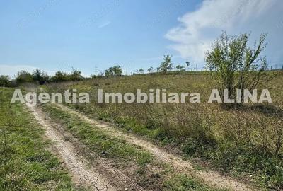 Teren de 1440 mp, în Titu Maiorescu - 1