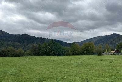 Teren de 1023 mp, în Vad