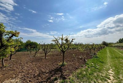 Spațiu comercial, în Central - 5