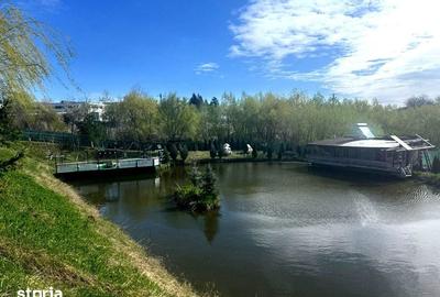 Teren de 6000 mp, în Ilișești - 1