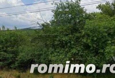 Teren intravilan Furesti, jud. Arges - ID R1965298 - 9