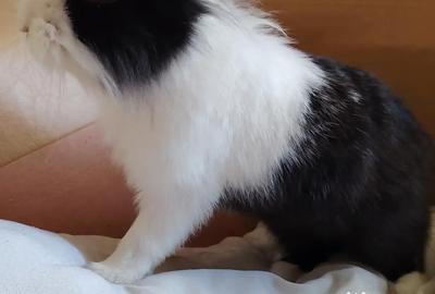 Teren de 30 mp, în Central - 3