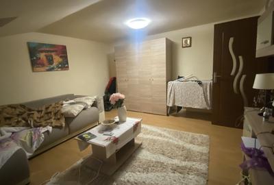 Apartament 1 camera in vila, 33 mp, curte privata, zona Parcul Armatura - 5