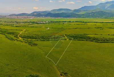 Teren de 10800 mp, în Râșnov - 15