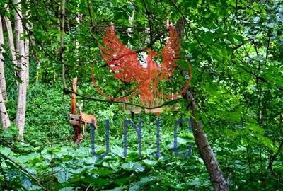 18000 mp de natura pura ,Lupeni, langa Straja 18000 mp de natura pura ,Lupeni, langa Straja - 2