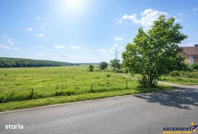 Spațiu comercial, în Iernuțeni