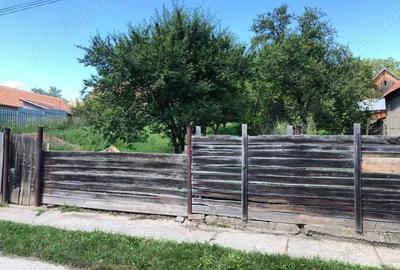 Teren de 823 mp, în Alămor - 5