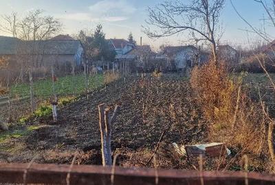 Casă cu Teren 500 Mp în Mărăcineni - 2