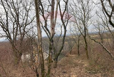 Teren agricol extravilan de 2900 mp, în Independenței - 7