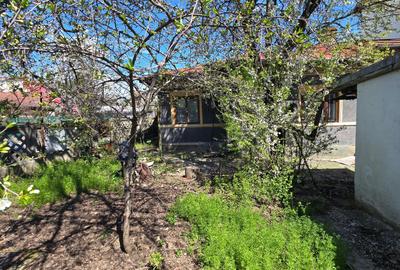 Casă individuală cu 3 camere cu Canalizare în Bucureștii Noi - 5