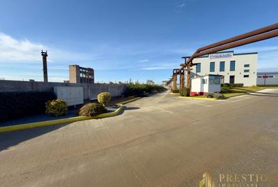 Spațiu industrial, de 400 mp, în Vest - 9