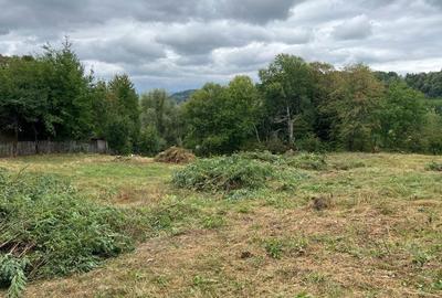 Spațiu comercial, în Buștenari - 6