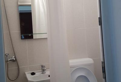 Garsonieră semidecomandată, mobilată în Alba Iulia - 10