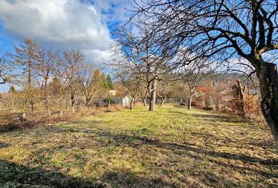 PROPRIETATE: 1500 mp, cu casa saseasca autentica, in Cristian, Brasov - 9