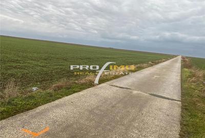 Teren de 4200 mp, în Corbu - 3