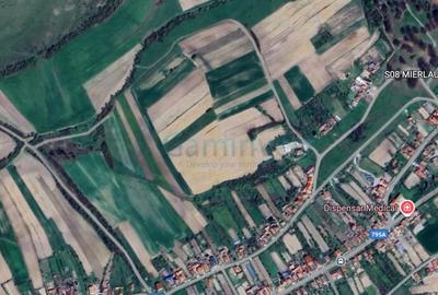 Teren agricol extravilan de 3900 mp, în Mierlău - 1