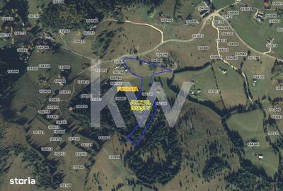 Teren de 18044 mp, în Dâmbovicioara - 3