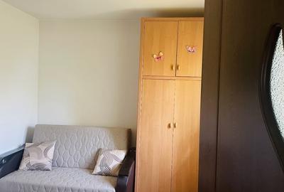 Comuna Marzanesti, sat Valea Parului, str Lalelelor, Teleorman - 11