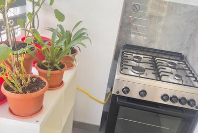 Inchiriez apartament 3 camere Lipovei Inchiriez apartament 3 camere Lipovei - 6