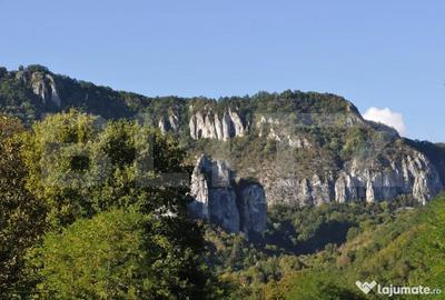 Casă cu 8 camere cu Teren 3000 Mp în Almașu Mare - 11