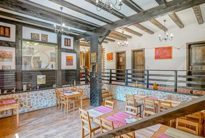 Casă individuală cu 14 camere cu Teren 1360 Mp în Noua