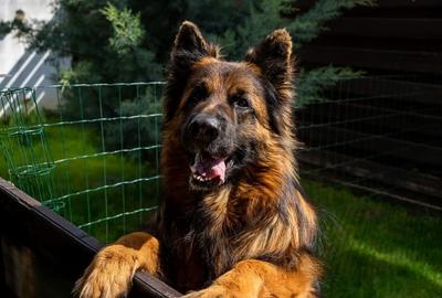 Casă cu 4 camere în Berceni - 3