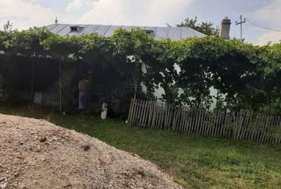 Vand Casa la ?ara unic proprietar - 2