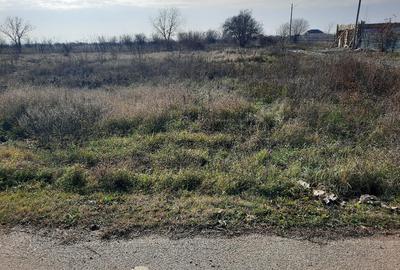 Teren Construcții intravilan de 6963 mp, în Bâcu