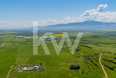 Teren agricol extravilan de 1500 mp, în Codlea - 4