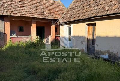 Casă cu 4 camere cu Teren 1522 Mp în Traian Vuia - 14