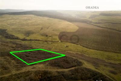 Teren în Uileacu de Munte - 3