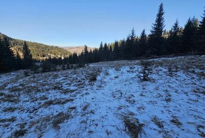 Teren extravilan de vanzare inconjurat de padure in Bucovina zona Breaza - 8